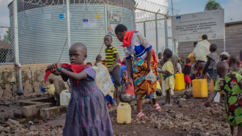 Conservation : La Fondation Virunga lance une campagne pour sauver la population, la faune et la flore congolaise des Virunga