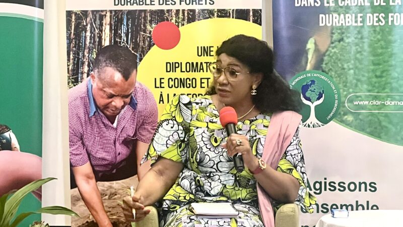 Forêt : Décennie des nations unies pour le boisement et reboisement, une contribution de la République du Congo à la planète