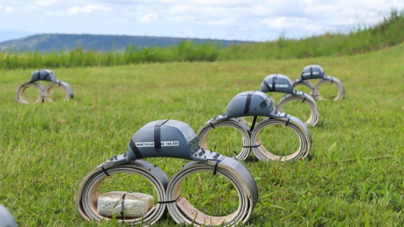 Conservation : Des colliers GPS pour protéger les éléphants et la population dans le Parc National de l’Upemba