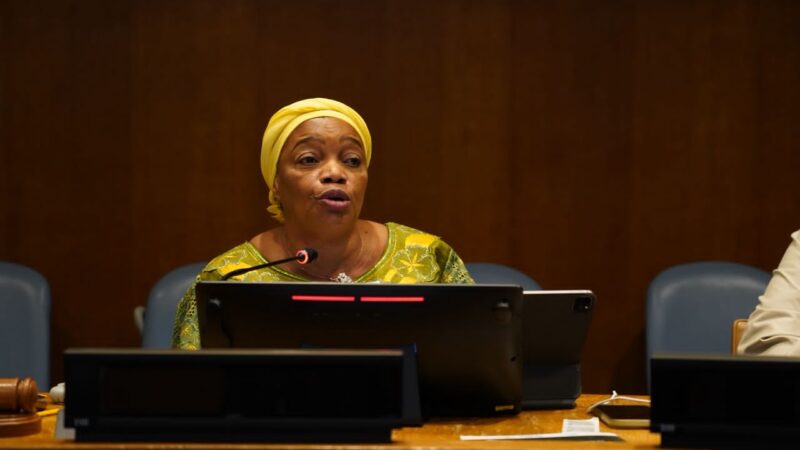 New York : Au Forum des Nations Unies sur les forêts, Bazaiba plaide pour la paix et la préservation des ressources naturelles de la RDC