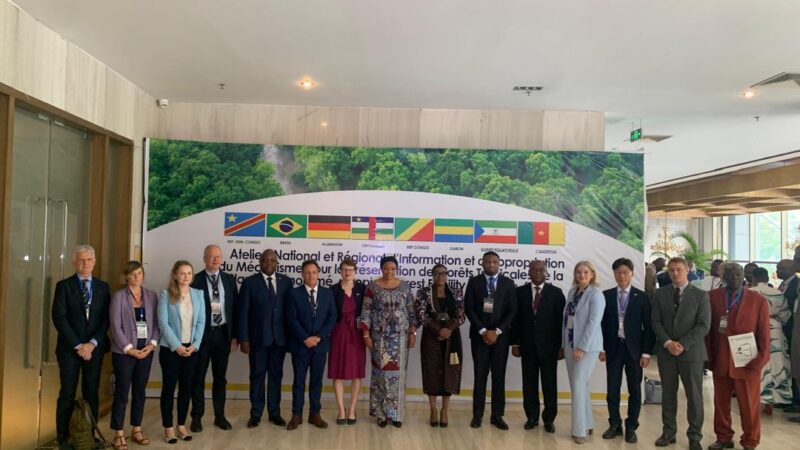 Forêt : Initiative Tropical Forests Forever Facility, les Etats s’engagent pour la protection des forêts tropicales