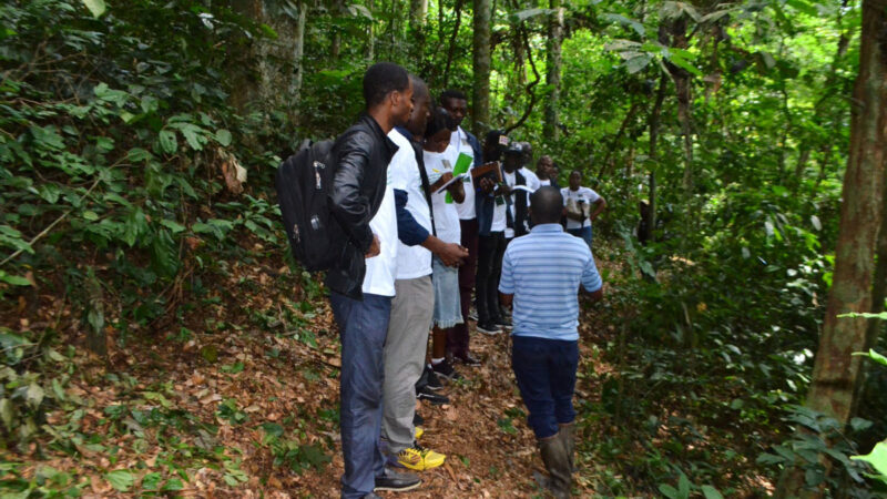 Forêt : Immersion de l&rsquo;IRI RDC dans la forêt de Luki, un pas essentiel pour la protection des forêts tropicales