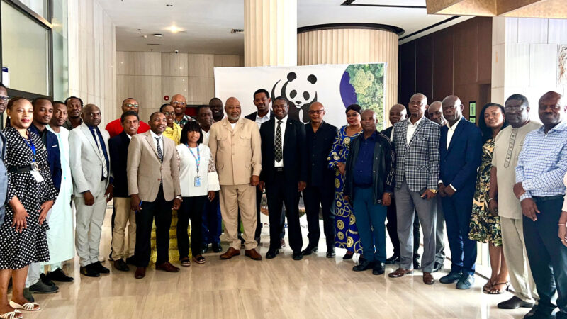 Conservation : Le WWF-RDC affine son plan stratégique 2026-2030, axé sur les communautés et la biodiversité