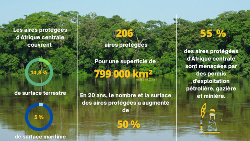 Biodiversité : La COMIFAC s’apprête à lancer la troisième édition de l’état des aires protégées d’Afrique centrale