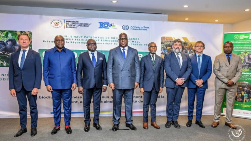 Conservation : Le projet « Crédit Bonobo », une avancée majeure pour la biodiversité en RDC