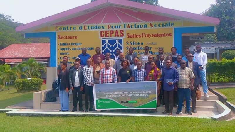 Forêt : R-EDH et Rainforest Foundation UK lancent un portail de conformité pour une gestion forestière transparente et durable en RDC