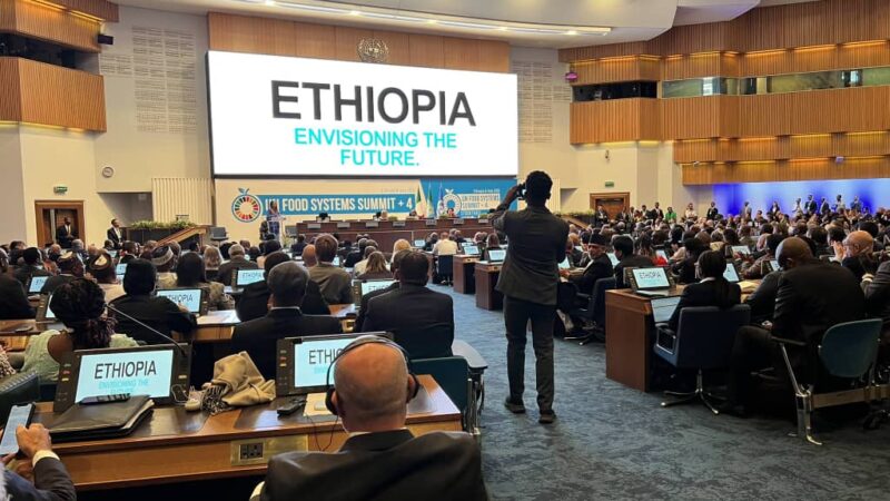  Agriculture : la République démocratique du Congo propose des solutions au Sommet des Nations unies sur les systèmes alimentaires