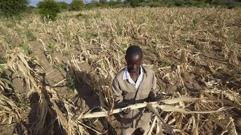 Climat : Un nouveau rapport met en lumière les points chauds de la sécheresse mondiale et leurs conséquences dévastatrices