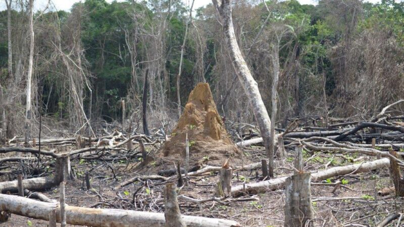 Environnement : 8,24 millions USD du FEM pour renforcer la résilience climatique dans les provinces de l&rsquo;Est de la RDC
