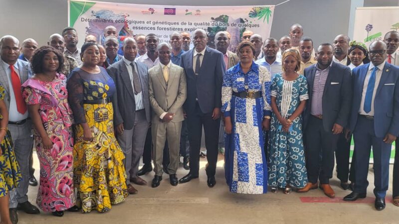 Forêt : Clôture du projet sur la qualité du bois en république du Congo, un pas vers une exploitation durable de ressources