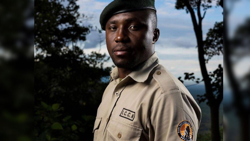 Conservation : « La conservation au prix de ma jeunesse », quand Emmanuel Bahati Lukoo raconte son combat pour la protection de la biodiversité