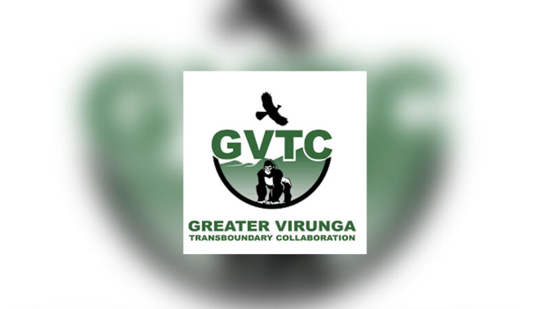 Opportunité : La GVTC cherche un Consultant pour le développement d’un système en ligne de suivi et de rapportage