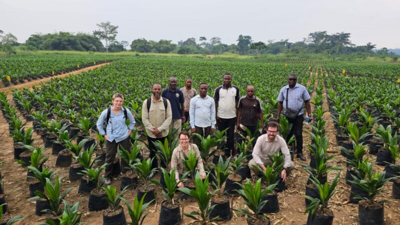 Forêt : L’espoir au cœur du bassin du Congo, réflexions sur ma visite à Yangambi (édito d’Alyson King)