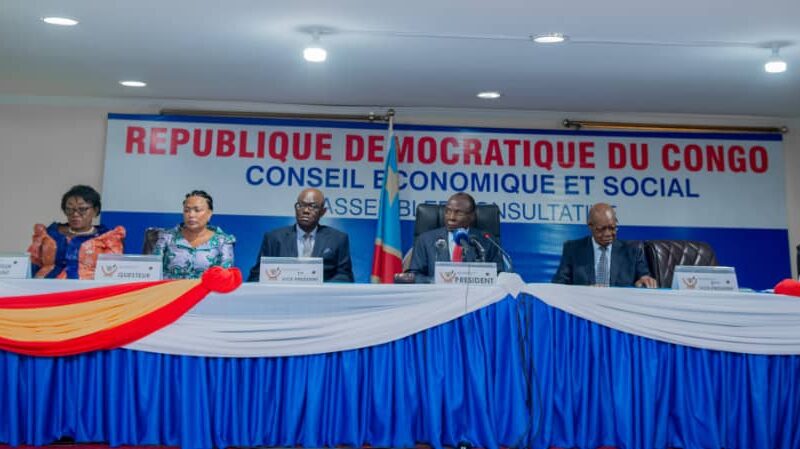 Environnement : Le Conseil économique et social exhorte le Gouvernement à des actions concrètes pour la COP 30