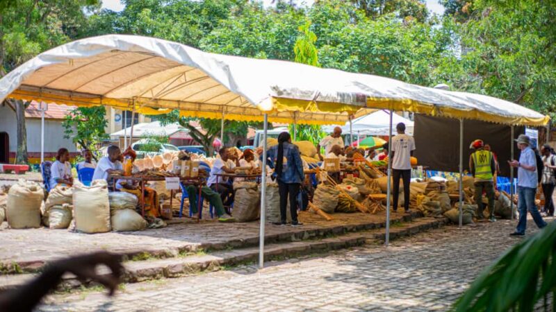Kisangani : TROPENBOS RDC lance une foire pour promouvoir les produits agroforestiers issus des CFCL de Bafwasende