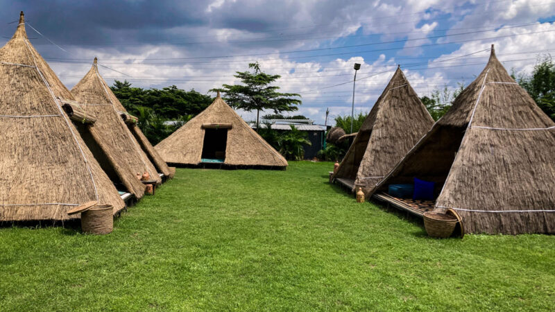 Renaissance verte de l&rsquo;Afrique – Quand Durabilité, Crédits Carbone et Technologie se Conjuguent