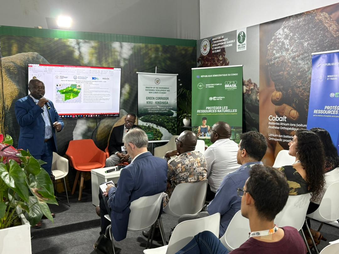 Conservation : Le « Crédit Bonobo », un mécanisme innovant alliant ...