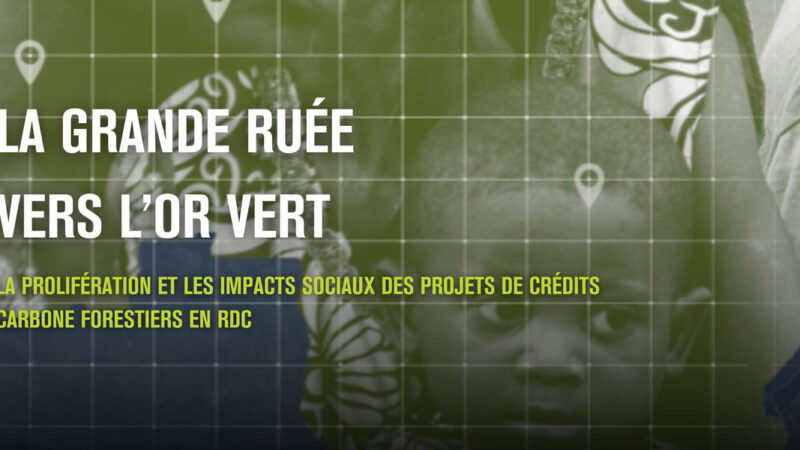 Forêt : La RDC, nouvel eldorado du carbone aux dépens des communautés et de l&rsquo;environnement