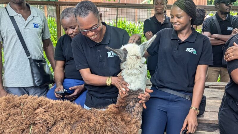 Conservation : Emmanuel Ebeng, « mon passage à Vantara a changé totalement ma vision de la conservation »