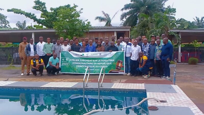 Forêt : Lancement à Kinshasa de la deuxième édition de l&rsquo;atelier juridique sur la foresterie communautaire