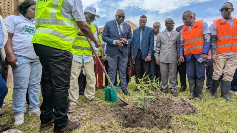 Forêt : La RDC lance un mois de reboisement et de sensibilisation à l’importance  de l’arbre