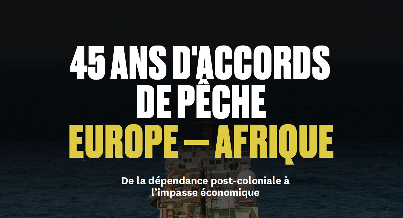 Pèche : La pêche thonière, un système structurellement insoutenable