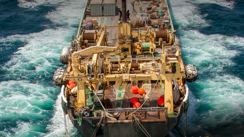 Pêche : Bloom dénonce les méfaits de la pêche thonière industrielle sur les écosystèmes africains