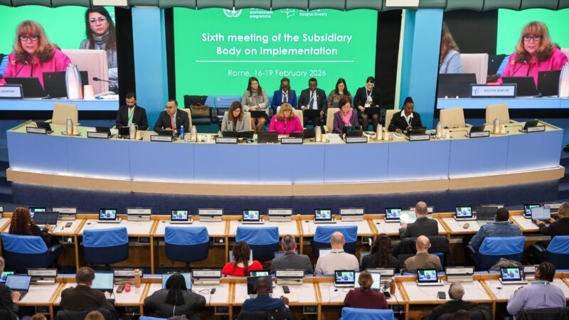 Biodiversité : La course contre la montre est lancée avant la COP 17 en Arménie