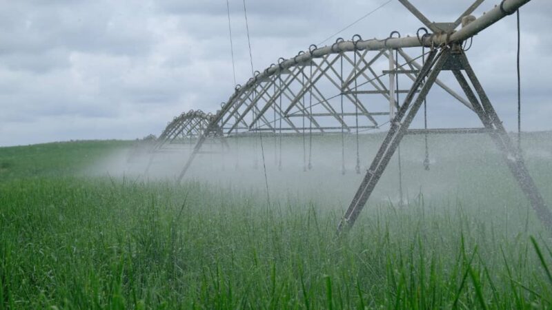 Kongo central : Au-delà de la canne à sucre, la Sucrière de Kwilu Ngongo s’impose comme pionnière des métiers verts