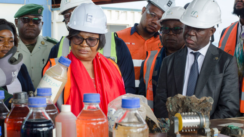 Environnement : La Ministre de l&rsquo;Environnement dénonce un « crime environnemental » au Katanga et promet des mesures correctives