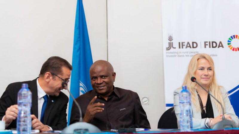 Agriculture : COSOP 2027-2032, le gouvernement congolais plaide pour l’inclusivité et l’innovation dans le  développement de l’agriculture