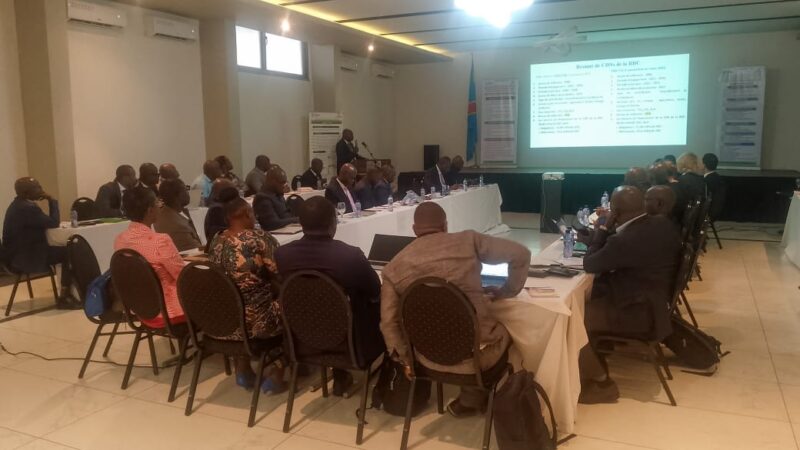 Climat : Une réflexion à Kinshasa pour structurer le marché carbone en RDC