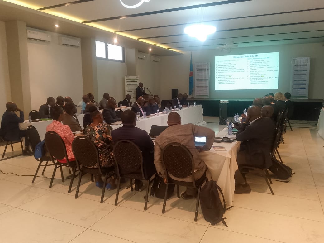 Climat : Une réflexion à Kinshasa pour structurer le marché carbone en ...
