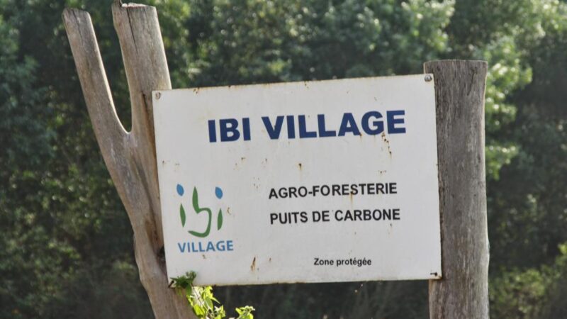 Forêt : PSE en RDC, Mushiete & Compagnie plaide pour une approche ancrée dans les réalités du terrain