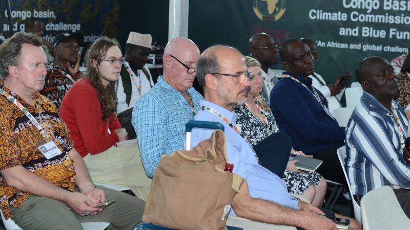 Bassin du Congo : Un nouveau rapport scientifique pour éclairer les décisions politiques