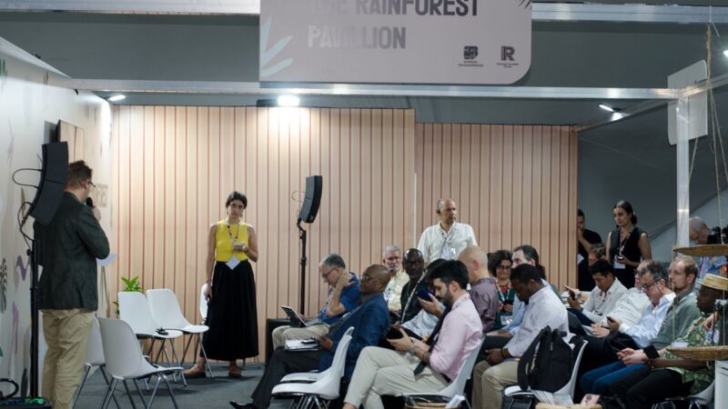 Climat : L&rsquo;Amazonie inspire le bassin du Congo, un nouveau panel scientifique pour un développement durable