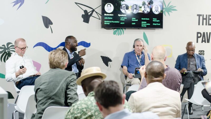 Climat : Le bassin du Congo, un « Cœur Vert » sous haute surveillance scientifique