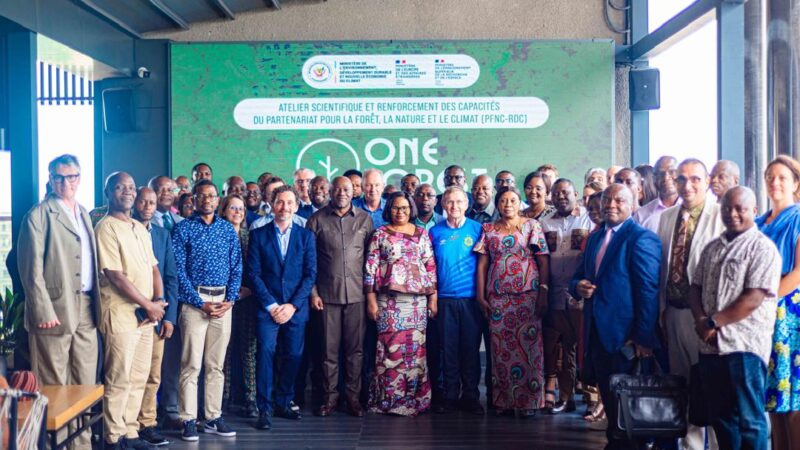 Forêt : L’initiative One Forest Vision lance officiellement ses activités en RDC
