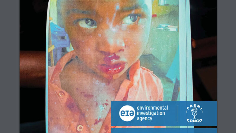 Enquête sur le cobalt en RDC, entre boom technologique et crise sanitaire à Tenke Fungurume