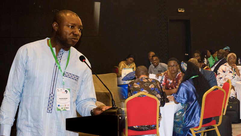 Congo : Vers une gouvernance partagée, les savoirs autochtones au cœur des forêts congolaises