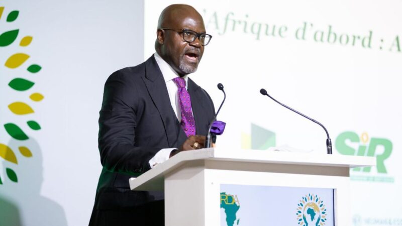 Enérgie : Capital humain, le maillon manquant de la sécurité énergétique et de l’industrialisation de l’Afrique