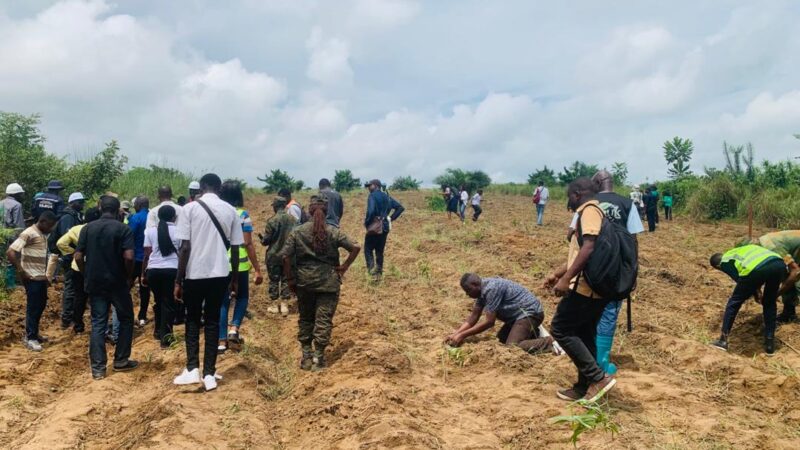 Forêts : 5 000 arbres plantés à N&rsquo;djili Brasserie pour lancer un projet de restauration des terres