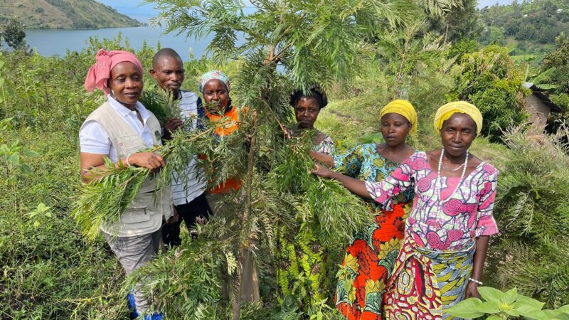 Environnement : L’ACCB et les communautés locales unissent leurs forces pour sauver les écosystèmes forestiers au Sud-Kivu