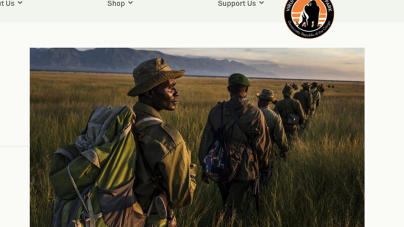 RDC : Deux écogardes du Parc National des Virunga lâchement assassinés lors d&rsquo;une attaque armée à Kamuhororo