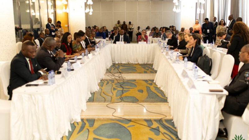 RDC : Le FONAREDD valide son rapport 2025 et cible l&rsquo;économie verte d&rsquo;ici 2030