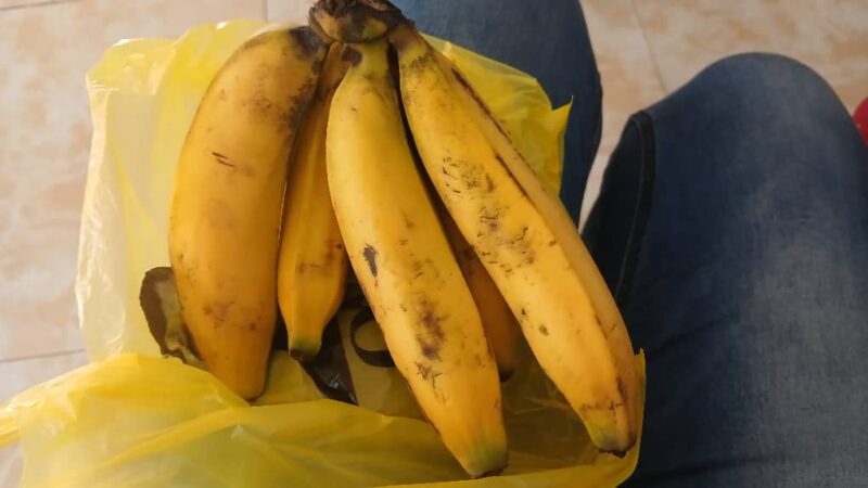 Santé : Les fruits, entre alliés vitaux et pièges cachés
