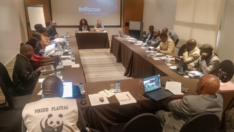 Forêt : Restauration des paysages forestiers en RDC, le WWF et ses partenaires veulent mobiliser des financements innovants et durables