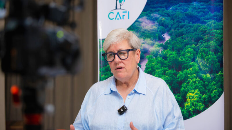 Forêt : Stratégie de CAFI (2026-2035), « La nature est une nécessité absolue pour la prospérité économique », Rachel Kyte