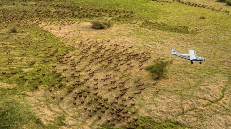 Soudan du Sud : Le paysage de Boma-Badingilo devient le premier site inscrit au patrimoine mondial de l’UNESCO