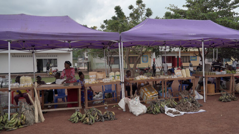 Forêt : Un projet pour transformer les forêts communautaires en entreprises durables lancé en RDC